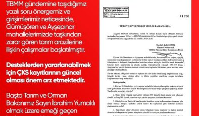 Taşkın Sonrası Çalışmalar Başlatıldı