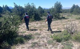 Kütahya’da orman yangınlarına karşı jandarma teyakkuza geçti