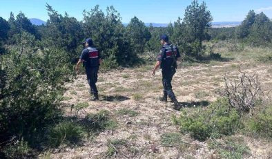 Kütahya’da orman yangınlarına karşı jandarma teyakkuza geçti